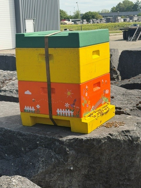 Bienenstock bei Renier