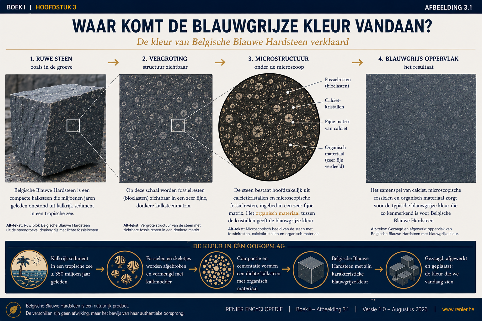Infographie sur l'origine de la couleur bleu-gris de la pierre bleue belge, due à la calcite, aux restes fossiles et à la matière organique finement divisée.