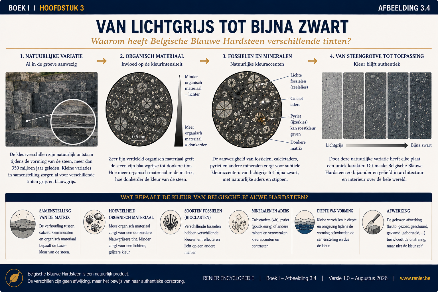 Infographie sur la variation naturelle de la couleur de la pierre bleue belge, allant du gris clair au presque noir, et sur l'influence de la calcite, des restes fossiles et des matières organiques.