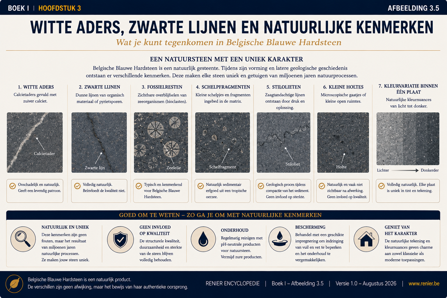 Infographie présentant les caractéristiques naturelles de la pierre bleue belge, notamment des veines de calcite blanche, des lignes sombres, des restes de fossiles, des fragments de coquillages, des stylolites et des variations de couleur naturelles.