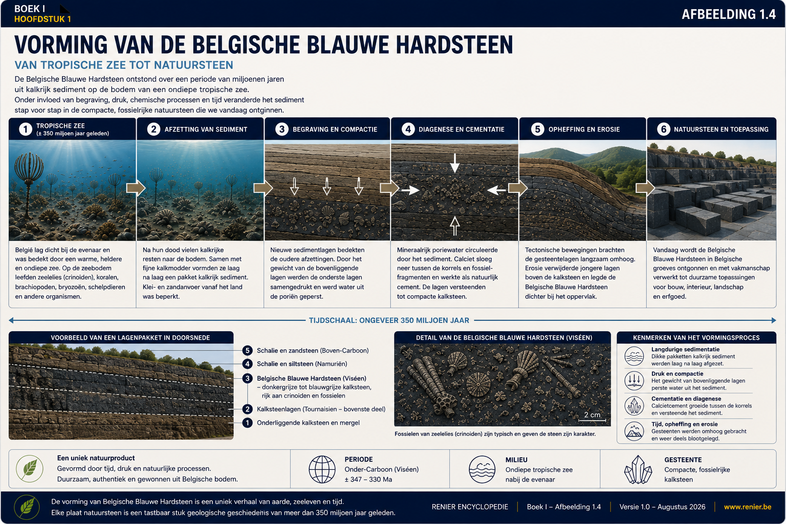 Infographie sur l'origine de la pierre bleue belge, de la mer tropicale à l'exploitation actuelle.