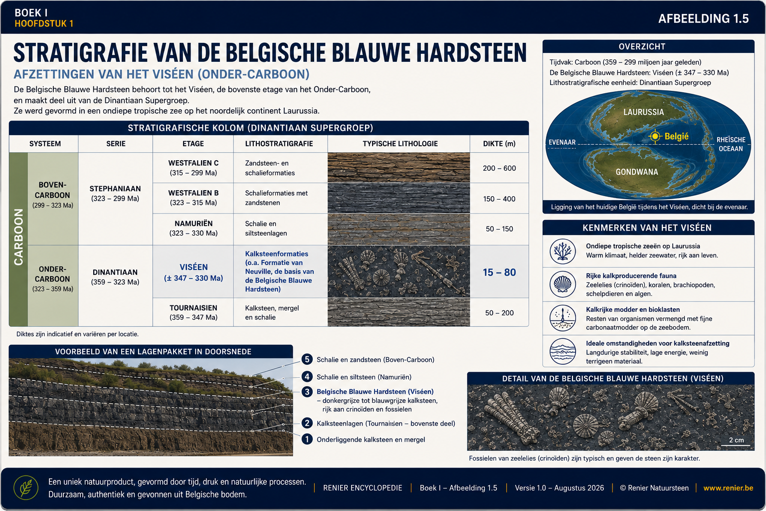 Infographie présentant la position stratigraphique de la pierre bleue belge au sein du Carbonifère inférieur et du Viséen.