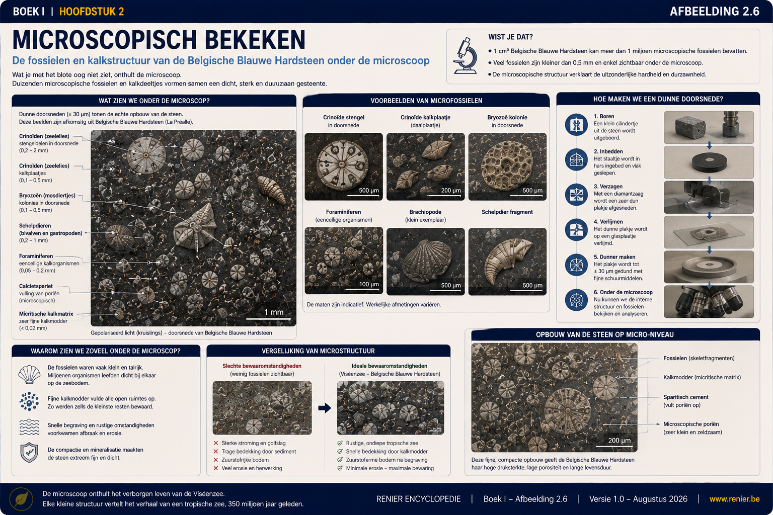 Infographie présentant la pierre bleue belge sous le microscope, avec des fossiles microscopiques, des cristaux de calcite, une matrice calcaire micritique et la structure interne de ce calcaire riche en fossiles.