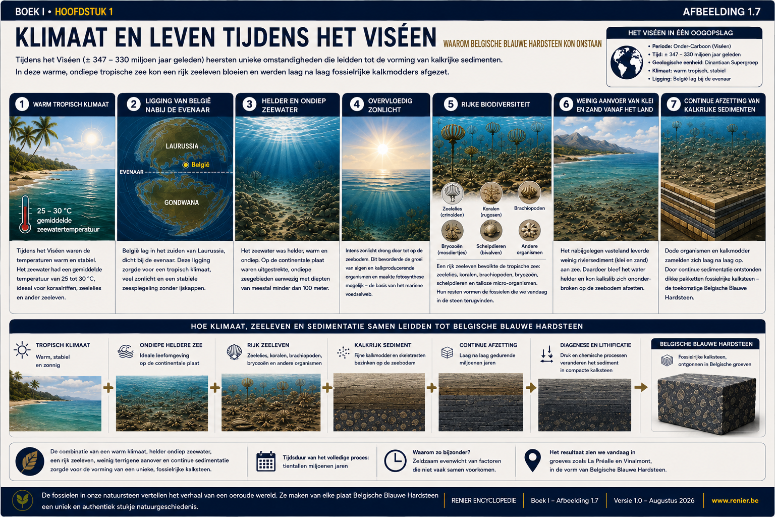 Infographie sur le climat, la vie marine et la sédimentation au cours du Viséen.