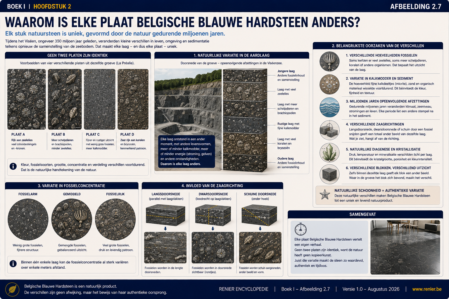 Infographie expliquant pourquoi il n'existe pas deux dalles de pierre bleue belge identiques, en raison des différences naturelles au niveau des fossiles, de la sédimentation, de la boue calcaire, de la diagenèse, du sens de sciage et de la position au sein de la couche rocheuse.