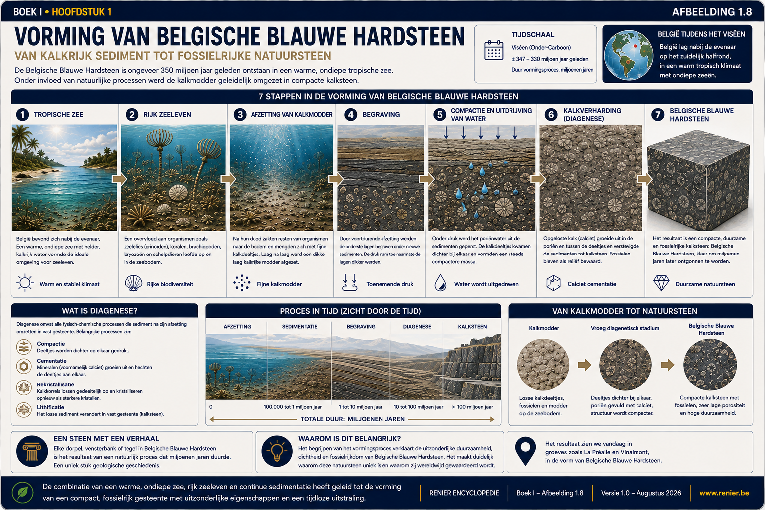 Infographie expliquant en sept étapes la formation de la pierre bleue belge par sédimentation, compactage et diagenèse.