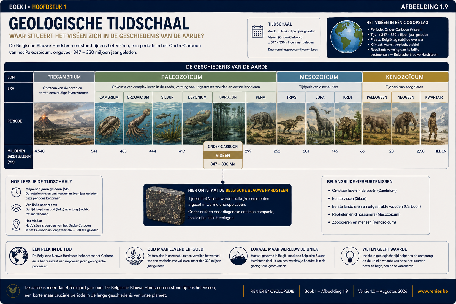 Échelle de temps géologique sur laquelle le Viséen est indiqué au sein du Carbonifère inférieur.